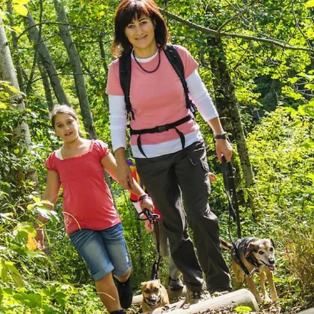 Hotel Moselstern Zum Guten Onkel 2*