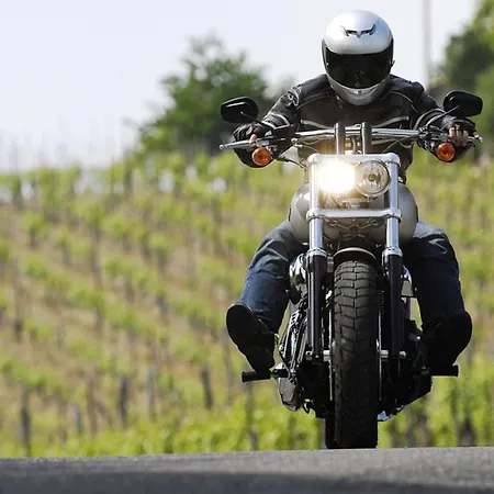 Hotel Moselstern Zum Guten Onkel