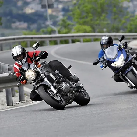 Moselstern Zum Guten Onkel 2*