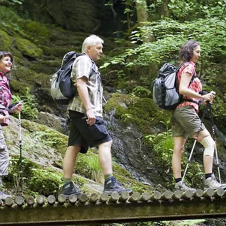 Hotel Moselstern Zum Guten Onkel 2*