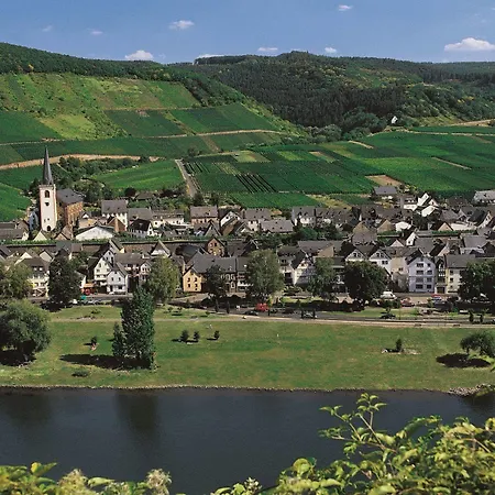 Moselstern Zum Guten Onkel Hotel 2*