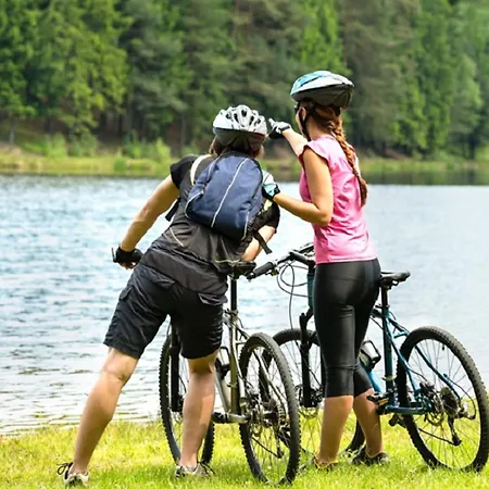 Moselstern Zum Guten Onkel Hotel
