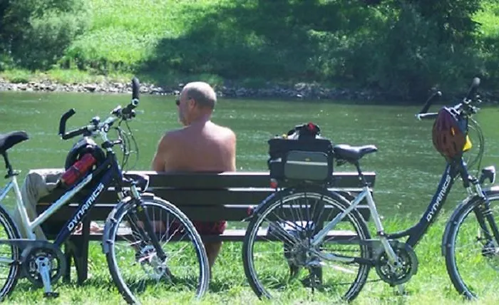 Hotel Moselstern Zum Guten Onkel Bruttig-Fankel