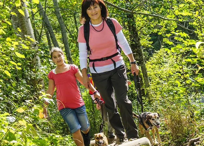 Otel Moselstern Zum Guten Onkel 2*