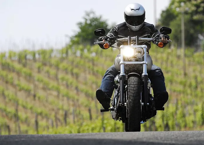 Hotel Moselstern Zum Guten Onkel