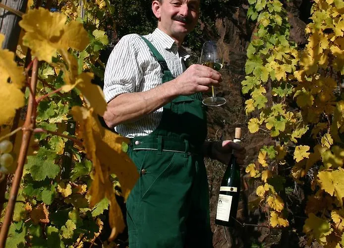 Moselstern Zum Guten Onkel 2* Bruttig-Fankel
