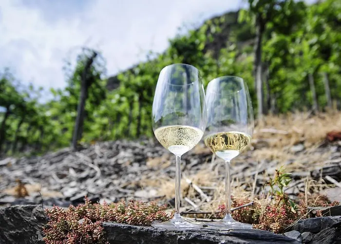 Moselstern Zum Guten Onkel Hotel 2*