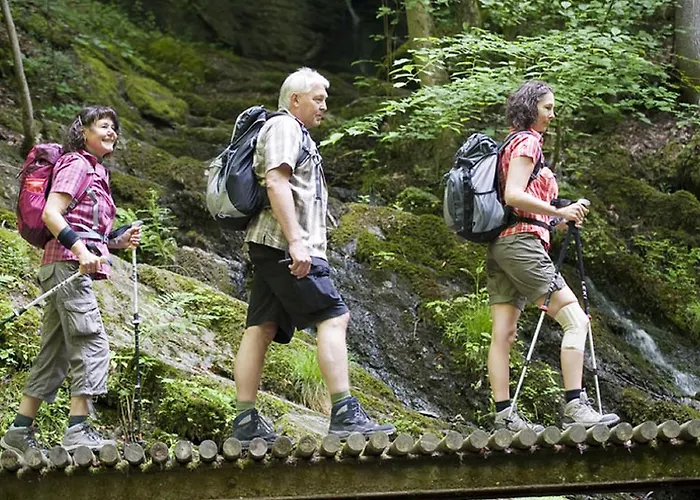 Hotel Moselstern Zum Guten Onkel 2*