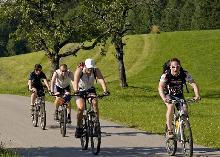 Hotel Moselstern Zum Guten Onkel Bruttig-Fankel