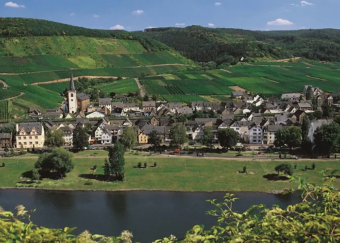 Moselstern Zum Guten Onkel Hotel 2*